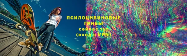 мдпв Заволжск