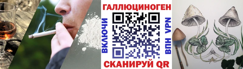 Псилоцибиновые грибы мицелий  купить наркотик  Инза 